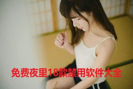 免费夜里18款禁用软件大全