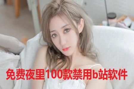 免费夜里100款禁用b站软件