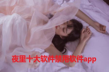 夜里十大软件禁用软件app