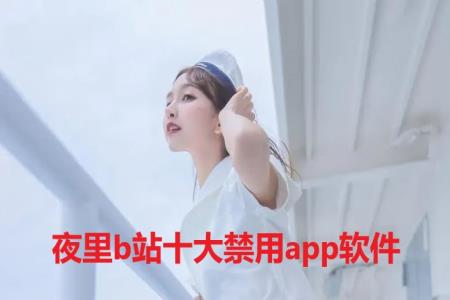 夜里b站十大禁用app软件