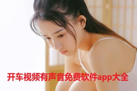 开车视频有声音免费软件app大全