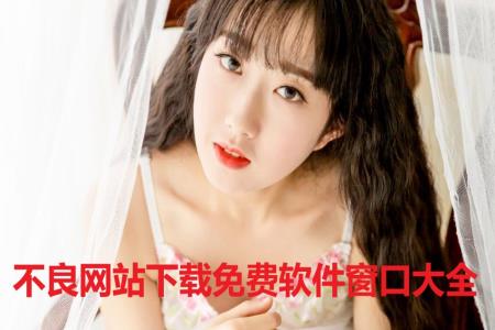 不良网站下载免费软件窗口大全