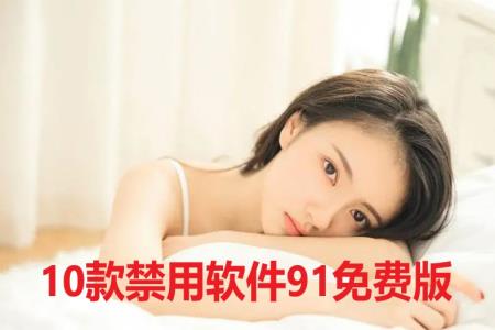 10款禁用软件91免费版
