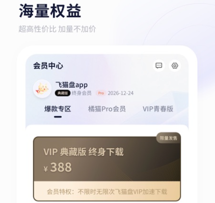 飞猫云vip账号密码免费共享-飞猫盘app下载2023最新版v3.01.21