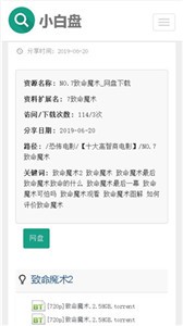 小白盘下载-小白盘中文版下载v1.0