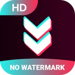 Snap Tik: TT Video Downloader(视频无水印下载器)国际版
