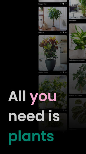 PlantIn: Plant Identification(万物识别app)截图1