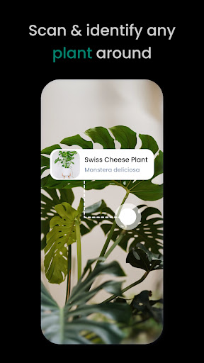PlantIn: Plant Identification(万物识别app)截图2