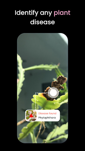 PlantIn: Plant Identification(万物识别app)截图3