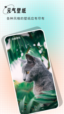 清壁纸app截图1