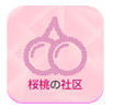 樱桃社区app