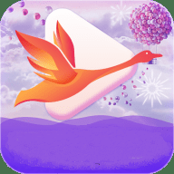 天鹅芭直播App 1.2.3 最新版