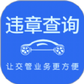 123123违章车辆查询
